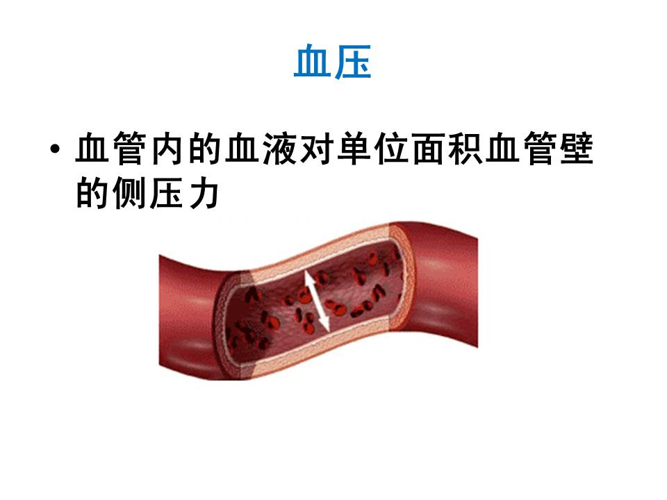 我院​老年病科教您正确测血压